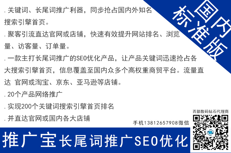 推廣寶seo網絡長尾關鍵詞推廣 國內標準款